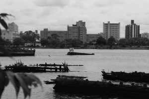 The History of Calvert Vaux Park